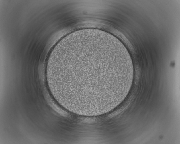 X0000116780890201001281119