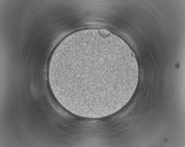 X0000116780891201001281119