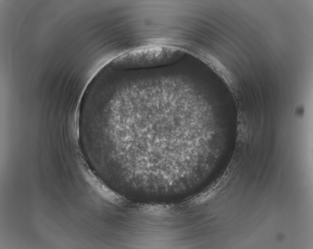 X0000116780892201001281119