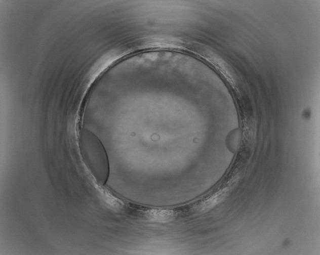 X0000116780893201001281119