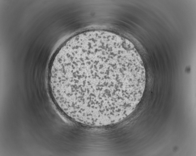 X0000116780894201001281119