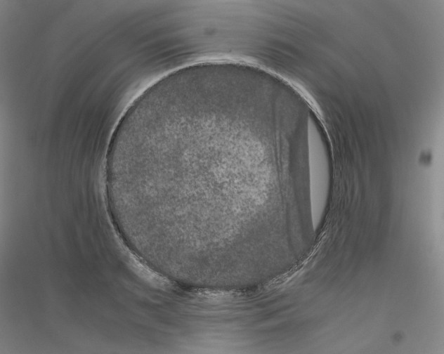 X0000116780895201001281119