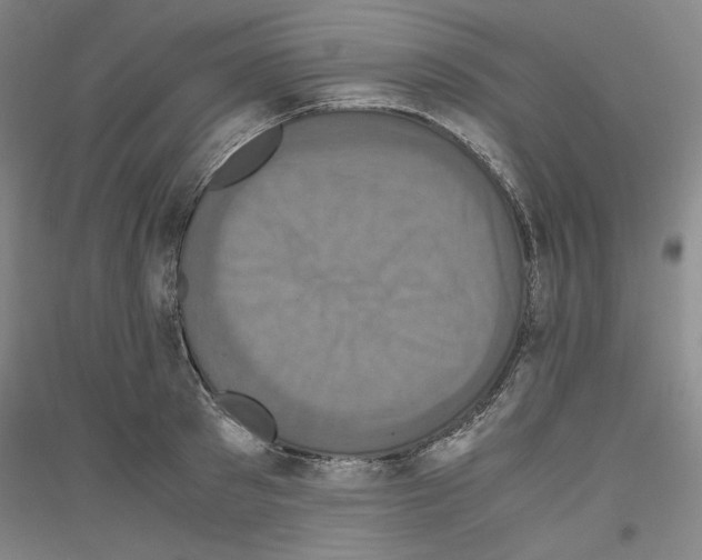 X0000116780897201001281119