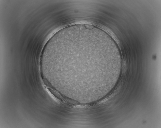 X0000116780898201001281119