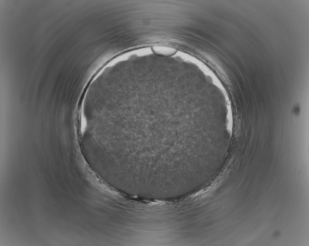 X0000116780899201001281119