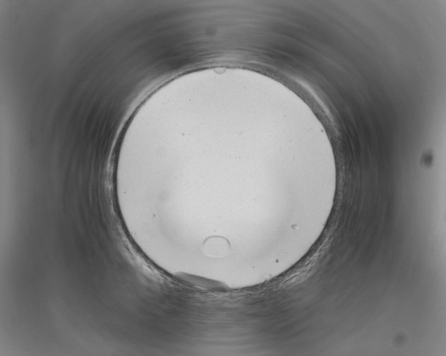 X0000116780900201001281119