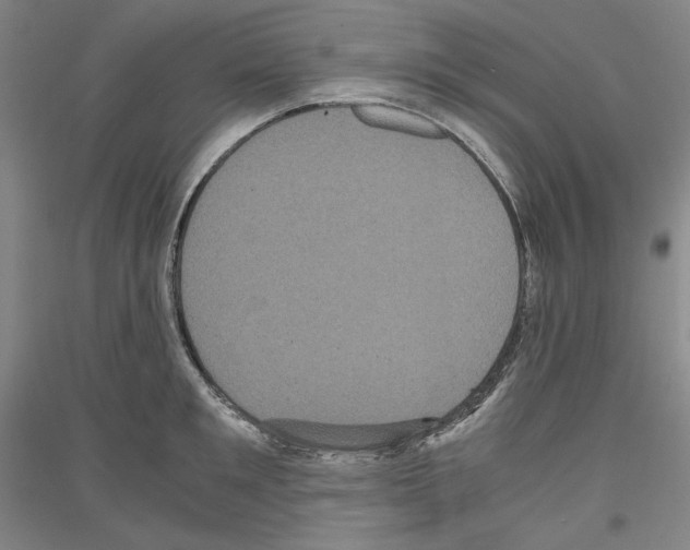 X0000116780901201001281119