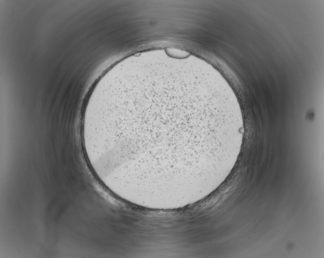 X0000116780902201001281119