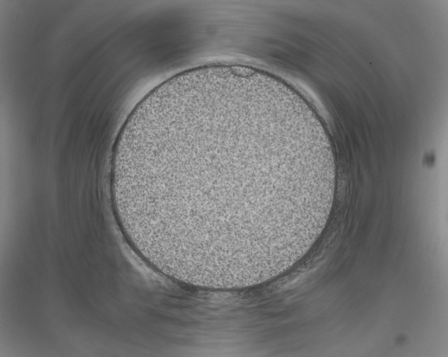 X0000116780903201001281119