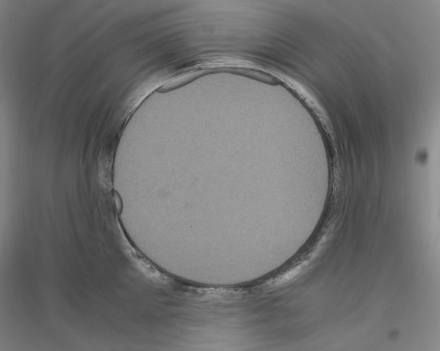 X0000116780905201001281119