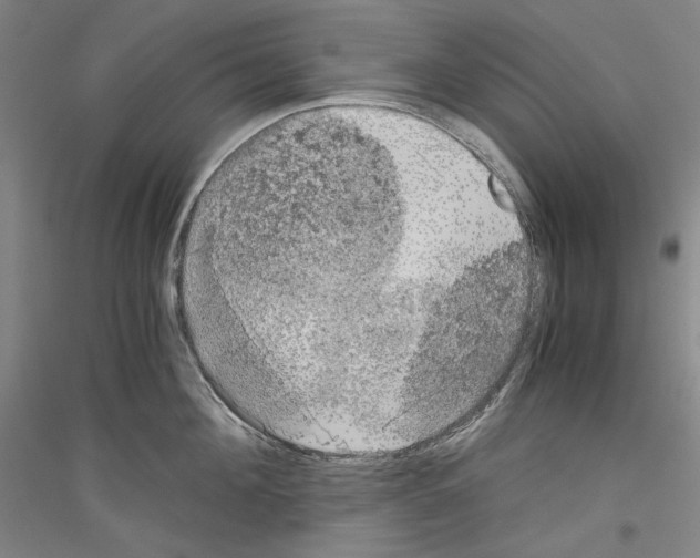 X0000116780908201001281119