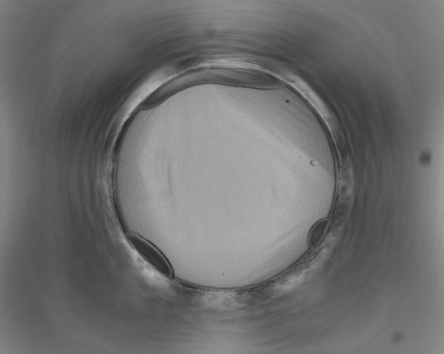 X0000116780909201001281119