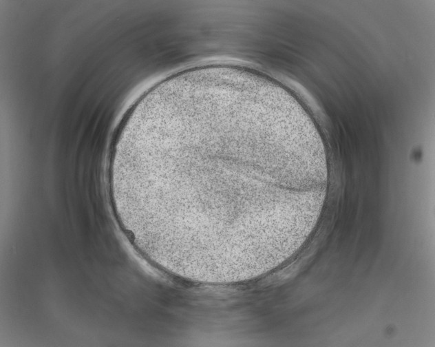 X0000116780910201001281119