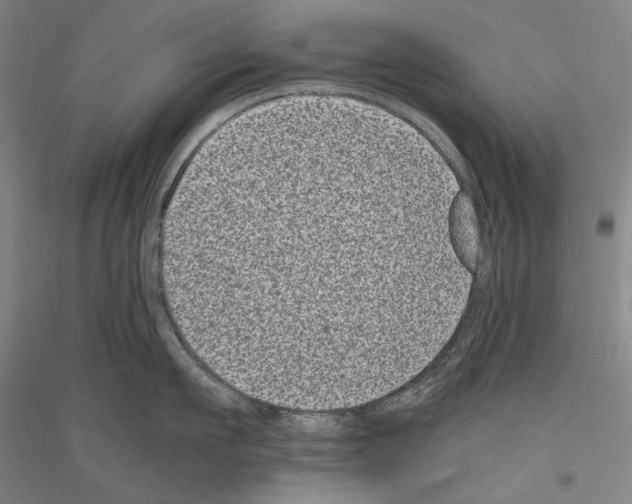 X0000116780911201001281119