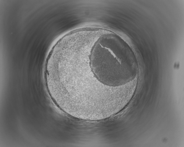 X0000116780912201001281119