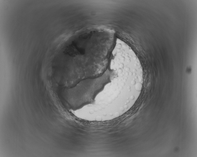 X0000116780913201001281118