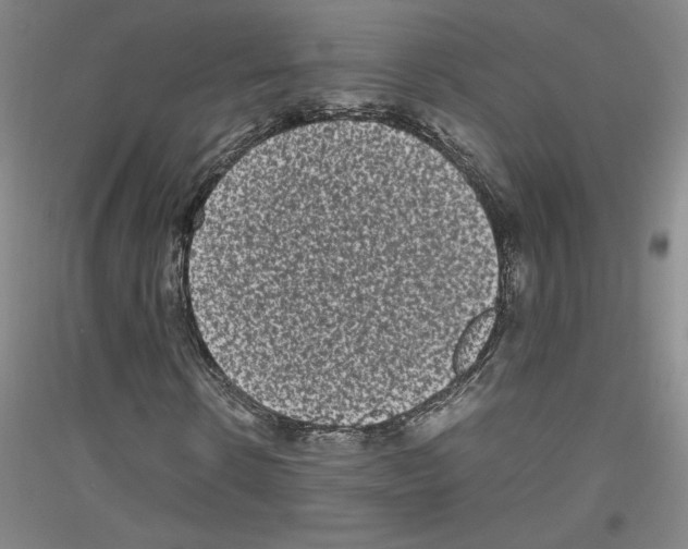 X0000116780914201001281118