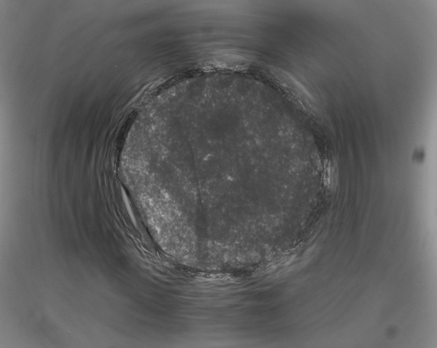 X0000116780915201001281118