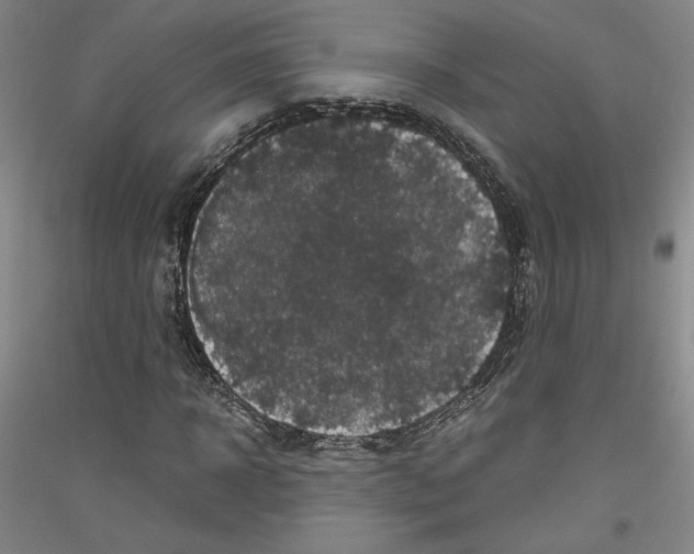 X0000116780918201001281118