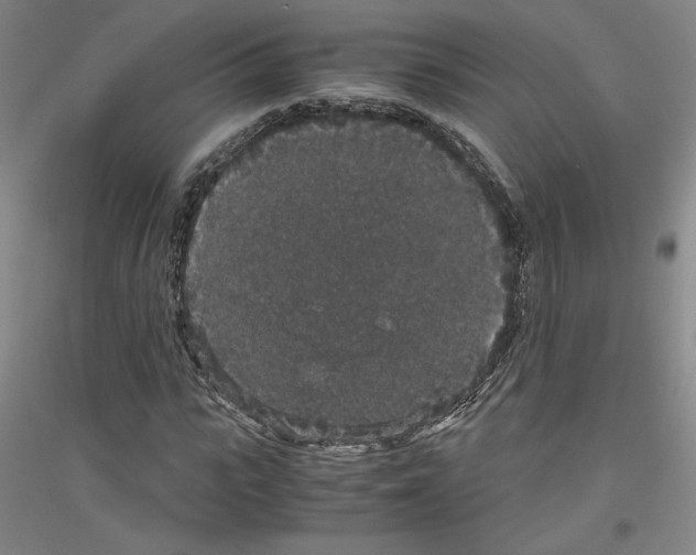 X0000116780919201001281118