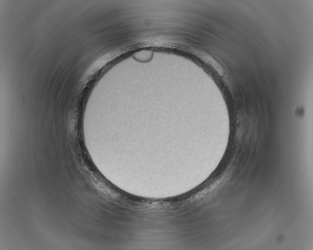 X0000116780922201001281118