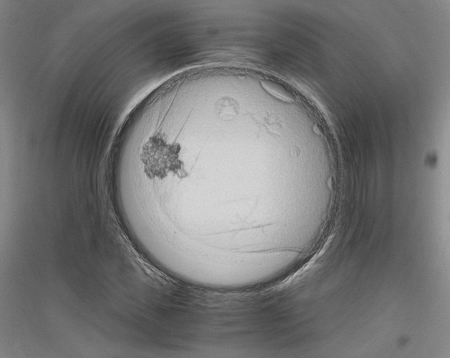 X0000116780925201001281118