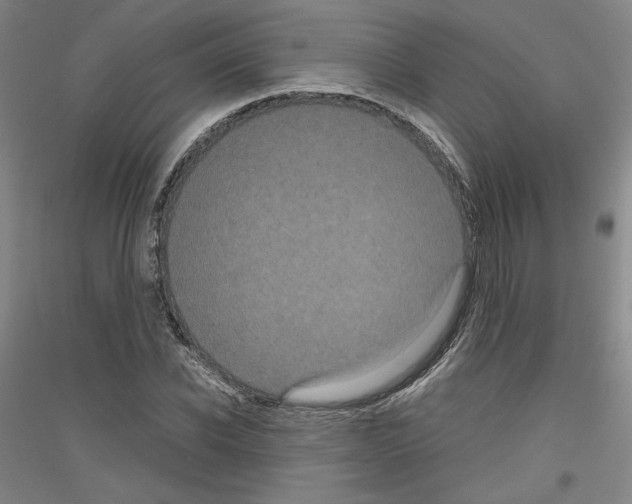 X0000116780926201001281118