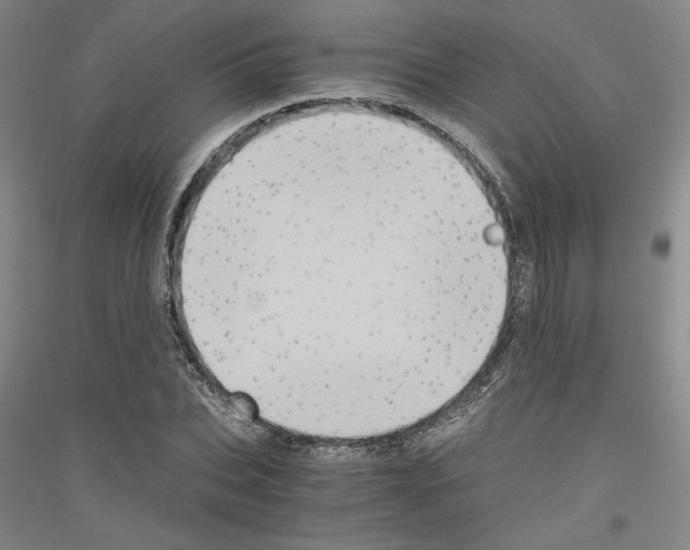 X0000116780927201001281118