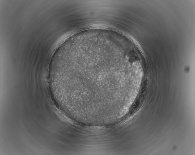 X0000116780930201001281118