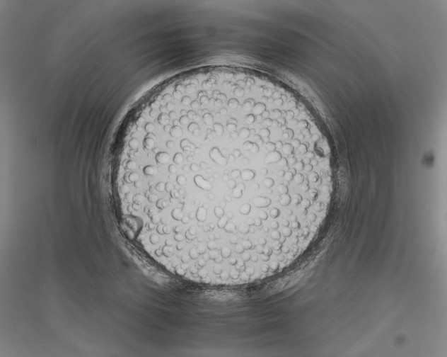 X0000116780931201001281118