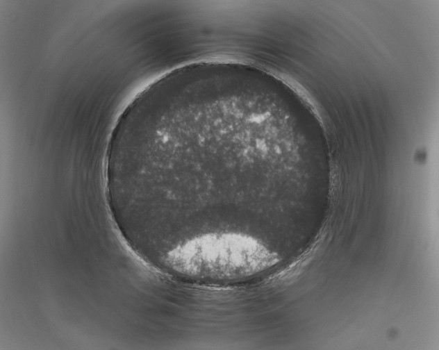 X0000116780935201001281118