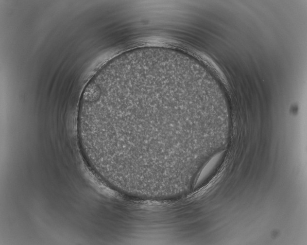 X0000116780938201001281118