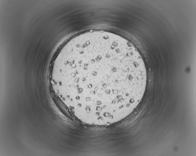 X0000116780939201001281118