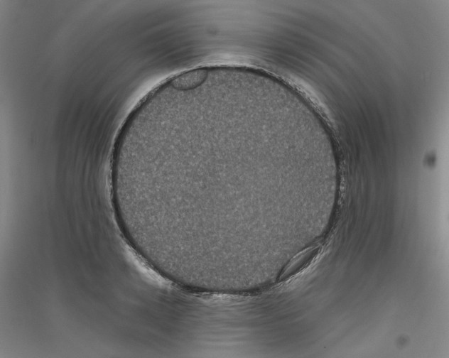 X0000116780942201001281118