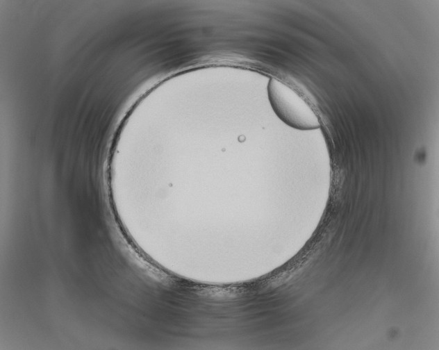 X0000116780947201001281119