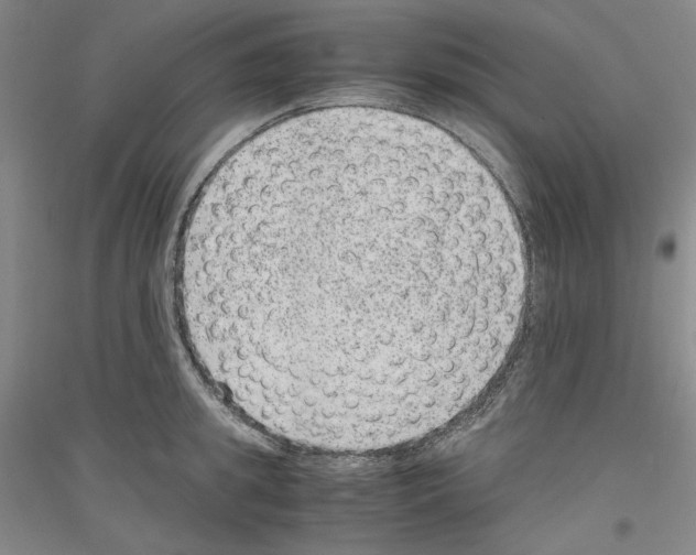 X0000116780949201001281119