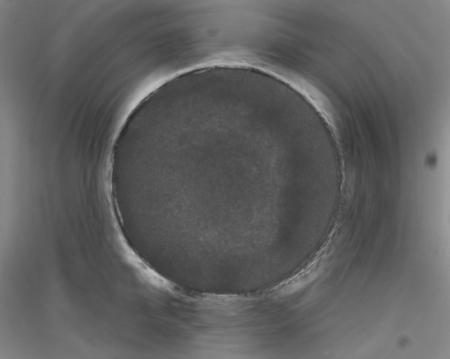 X0000116780950201001281119