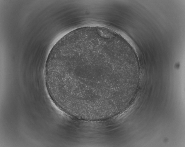 X0000116780951201001281119