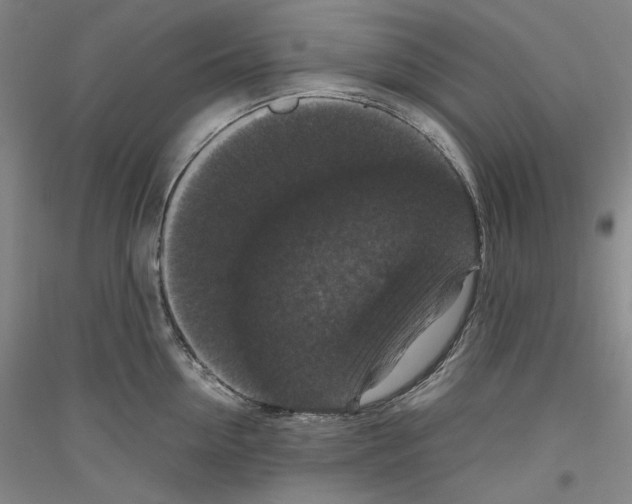 X0000116780954201001281119