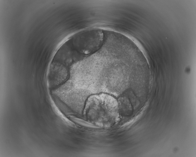 X0000116780957201001281119