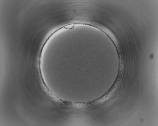 X0000116780958201001281119