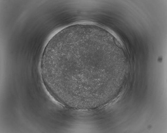 X0000116780959201001281119