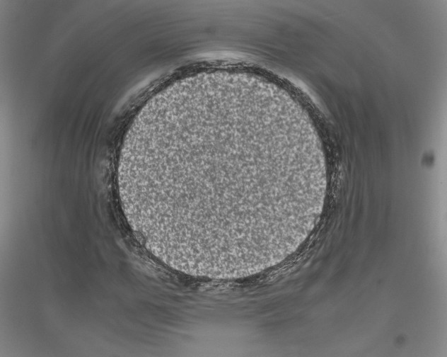 X0000116780967201001281118