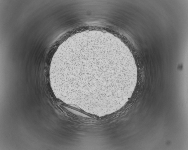 X0000116780968201001281118