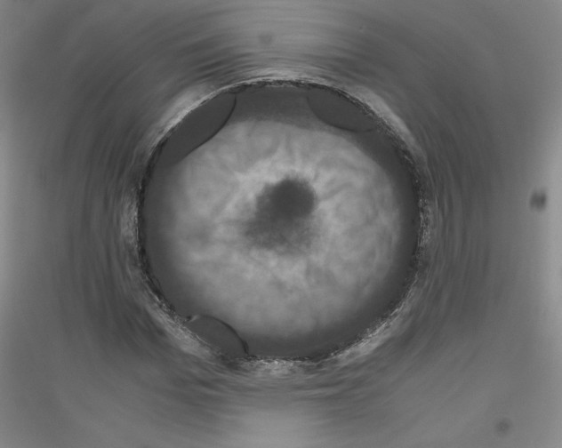 X0000116780969201001281118