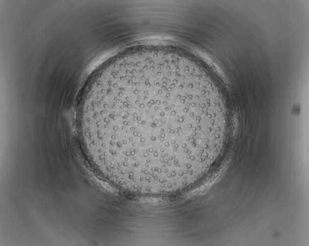 X0000116780970201001281118