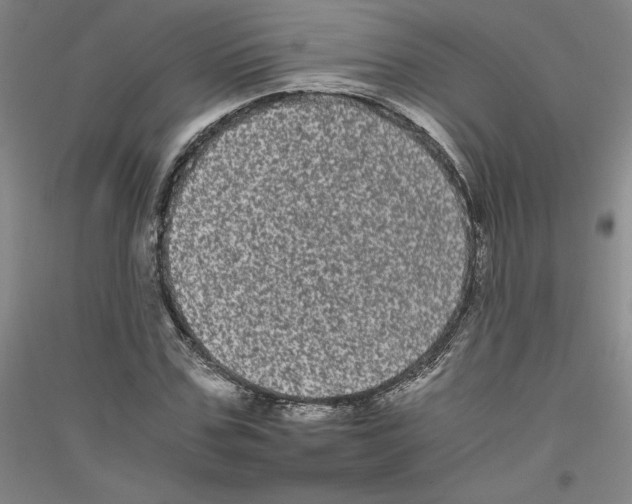 X0000116780971201001281118