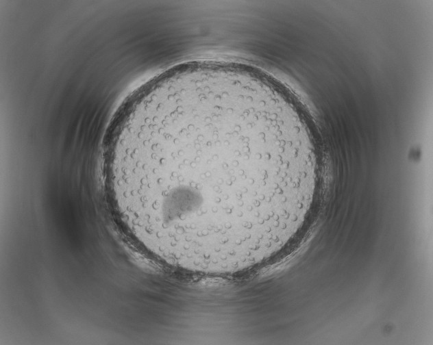 X0000116780974201001281118