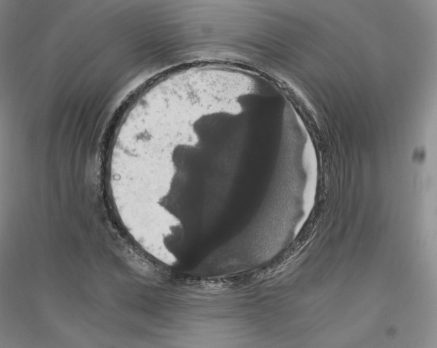 X0000116780975201001281118