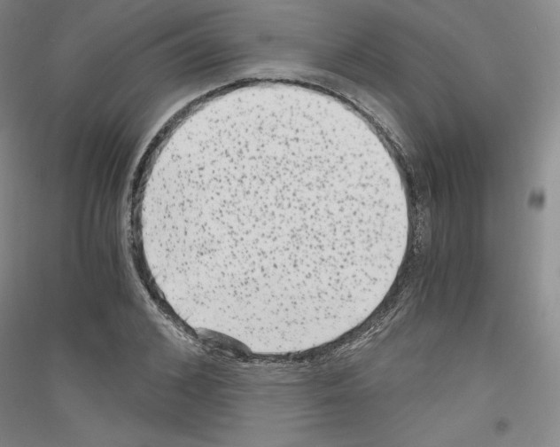 X0000116780976201001281118